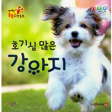 이재홍강아지