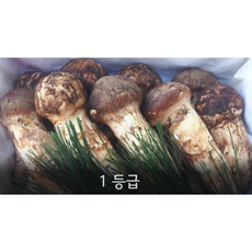 e4f8ba1fcd3e7cc681bbeed12feb273a2061fc64f4c102cc5b3c17dc8b95.png