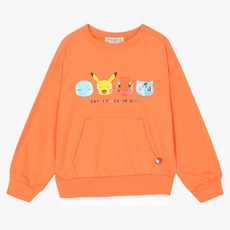 오후포켓몬