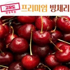 [캐시플랫폼] 고당도 항공직송 체리 중에서도 가장 맛있다고 소문난 워싱턴 "빙체리", 1박스, 500g
