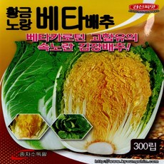 다듬배추