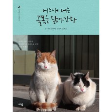 20cd1d141f64af8dafdf02e28cac6c750f8f1da2b0606cc9a3047adc6567.jpg