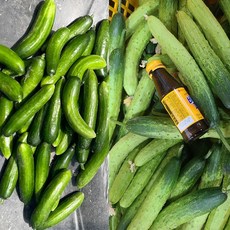 양주농부 클로렐라 못난이 미니오이 못난이오이 3kg-9kg, 클로렐라 못난이 미니오이 3kg (45개-70개 내외)