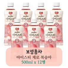 보성녹차아이스티