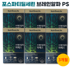 포스파티딜세린 뇌영양제 브레인알파피에스 두뇌건강 인지력 개선, 6박스(3개월분), 30정, 6개