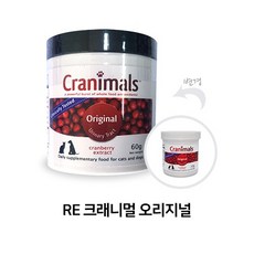 고양이방광염약