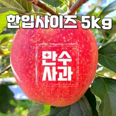 [청송만수사과] 청송 햇 홍로 사과 5kg 한입 사이즈 가정용, 한입사이즈 5kg, 1개