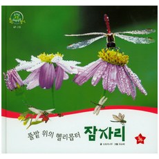 잠자리헬리콥터