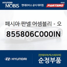 순정 카오디오 페시아 판넬 좌측 (855806C000IN) 메가트럭 메가 트럭 특장