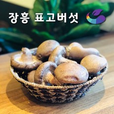 표고버섯파지