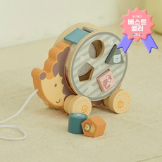 폴라비 유아 블럭 큐브 맞추기 끼우기 고슴도치 끌기 놀이 장난감 세트, 1개, 1개