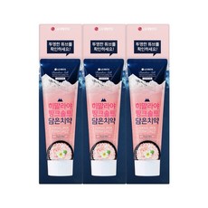 죽염 히말라야핑크솔트 치약 플로럴민트 100gx3개, 3개, 100g