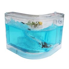 개미집개미관찰ㄱ자형하우스