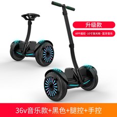 원몽드 전동휠 호버보드 나인봇, P, 36V