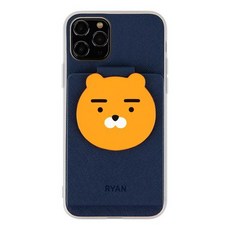 카카오프렌즈교통카드