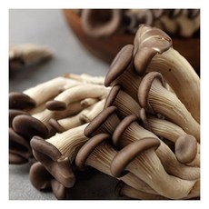 쫄깃함 가득 느타리버섯 2kg 로열프레시, 1개