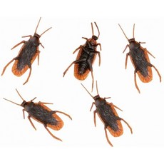 93c3331ea86e003a490cc34a17920a105e8e6adbc2f7f24bf1d8d1731979.jpg