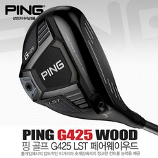 핑gle2아이언
