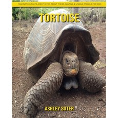 Tortoise: Fascinating Facts and Photos about These Amazing & Unique Animals for Kids Paperback, Independently Published