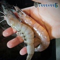 [굴철철] 제철 해산물 골라담기, 1개, 새우1kg(30미내외 급냉)