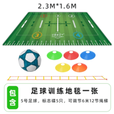 실내 축구교실 풋살 트레이닝 매트 스텝 연습 훈련