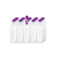 몽베스트 생수, 500ml, 100개