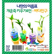 오렌지몰 [오렌지몰]나만의 이름표 개운죽 키우기세트4인-바다친구