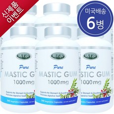 마이라이프 매스틱검