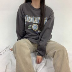 aeabaf1e672ce2863d335d925b58966a0ba7aee10ec20931b32e5f40338f.jpg