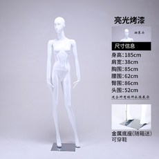빛전시회
