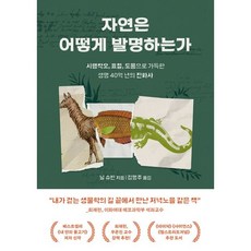 추천8자연