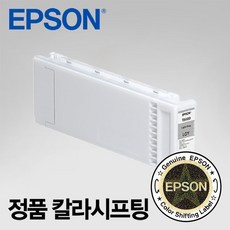 엡손p20070