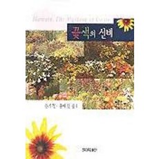 빛과색의신비