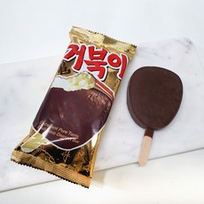 거북이아이스크림