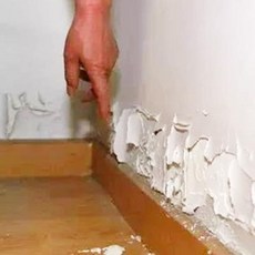 파티션액자포토월