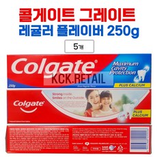 콜게이트 그레이트 레귤러치약 250g x 5개 코스트코 콜게이트 국민치약