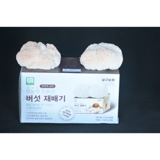 노루궁뎅이버섯재배기2.3Kg -오랜 전통의 버섯종균회사 삼구농원 노루궁뎅이버섯 재배기2개