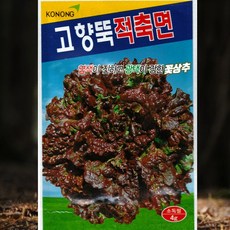 가을상추