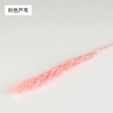 0ad2f32ad9d688a642cf99e6c0617b51b5b8ce1b09ae9223079e0f99b140.jpg
