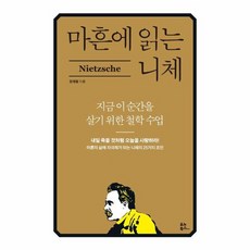 밀크북 마흔에 읽는 니체 지금 이 순간을 살기 위한 철학 수업, 상품명, 도서