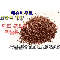 레드퀴노아 파는곳 레드퀴노아 효능 먹는법, 600g, 1개