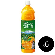 롯데 제주감귤 주스 1.5L 6개입, 6개