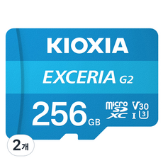 키오시아 EXCERIA 마이크로 메모리 카드 홈캠 블랙박스 CCTV SD LMEX3L256GG4, 256GB, 2개
