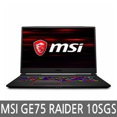 MSI GE75 레이더 10SGS i7/32GB/1TB/GTX2080