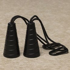 타이탄테크친딥어시스트