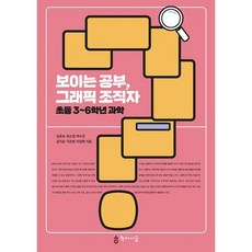 보이는공부그래픽조직자