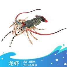 범고래백상아리
