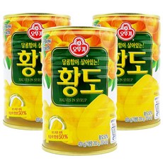 황도 복숭아 과일 통조림 400g x 3개