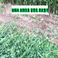 b99a7f340ecf93b446871a26a19dab8b038509e81d0a3f59a2e2eb143ddb.png