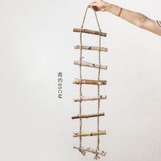 어좌촬영
